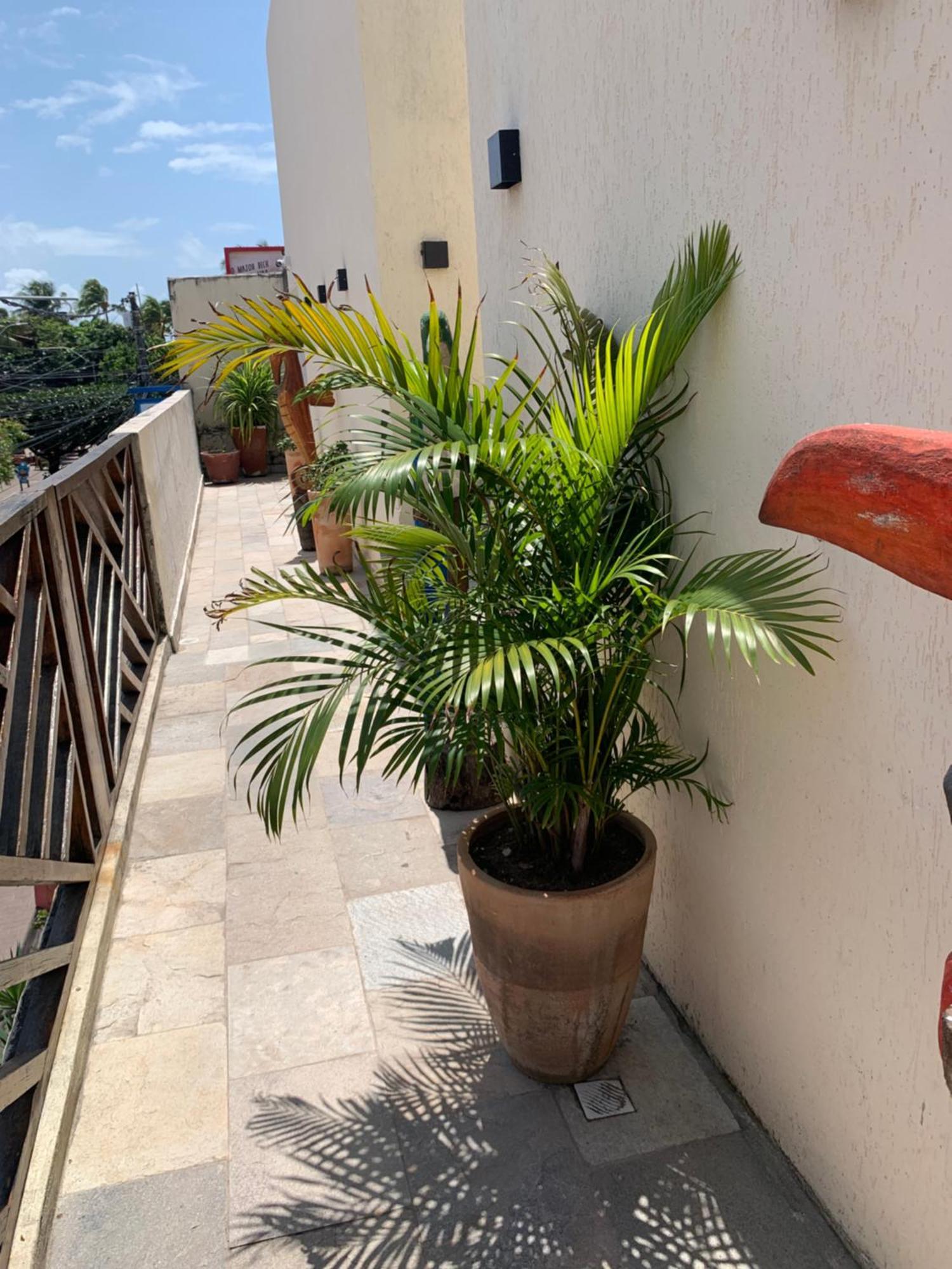 Villa Peixe Na Telha Pôrto das Galinhas Buitenkant foto